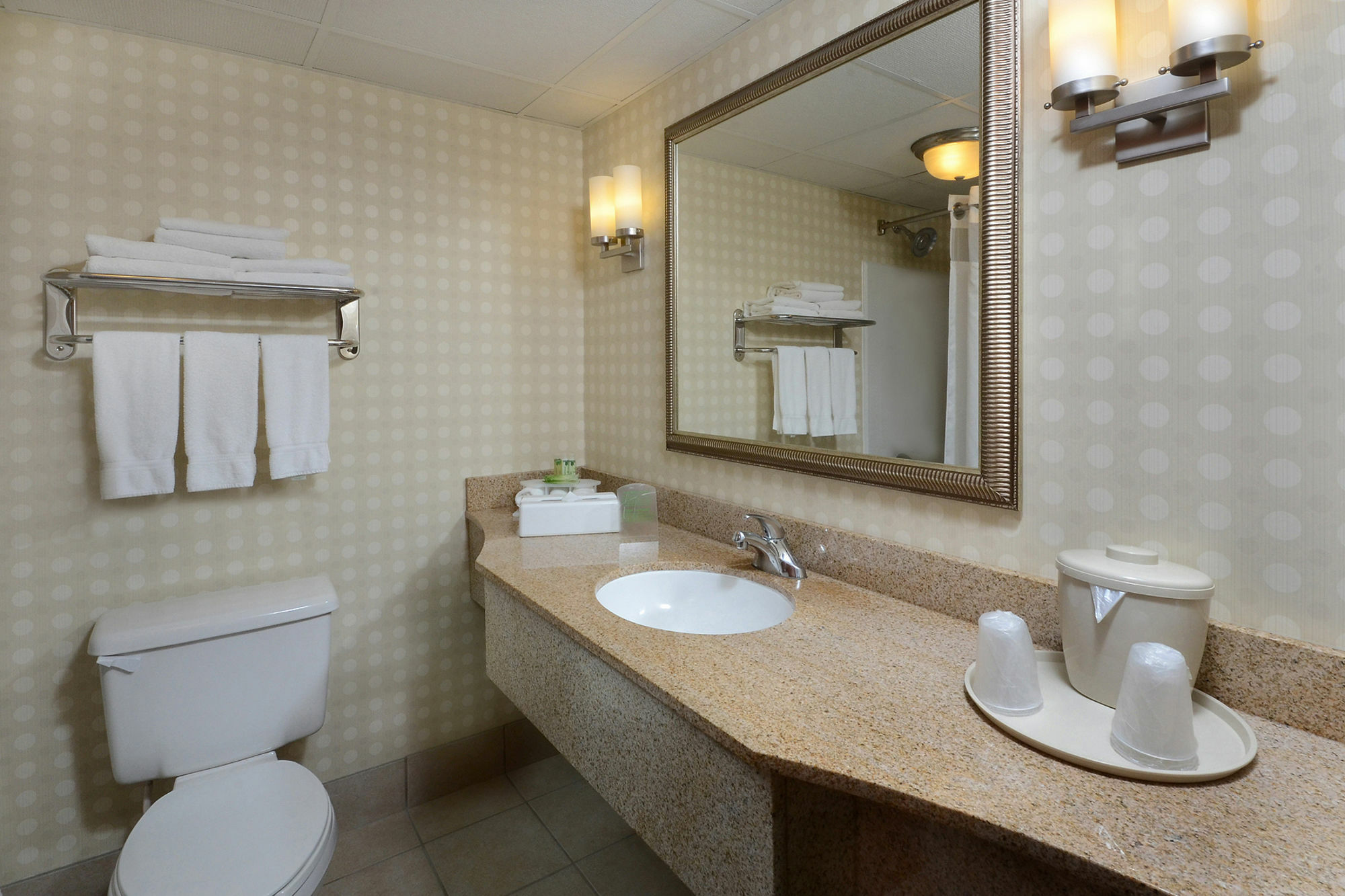 Holiday Express & - Airport Area By Ihg 2* Greensboro